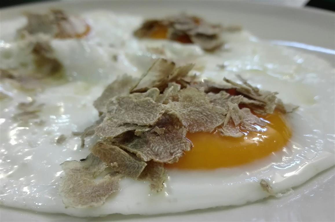 44° Sagra del Tartufo<br/> di Sant'Agostino